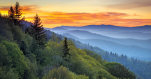 asheville north carolina historic tours